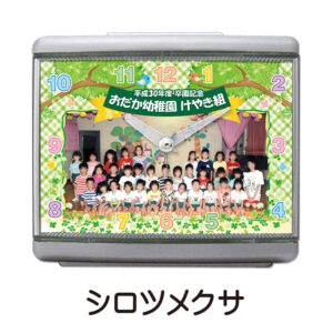 シロツメクサ